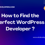 Hire a WordPress Developer: Your Gateway to Expertise and Efficiency