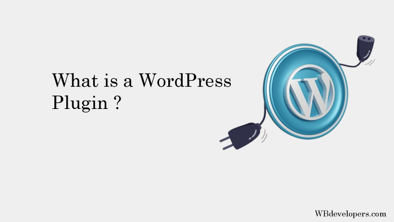 What is WordPress Plugin